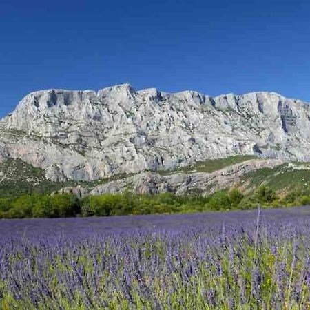 Appartement Avec Deux Chambres Centre Ville Aixois Aix-en-Provence Eksteriør billede