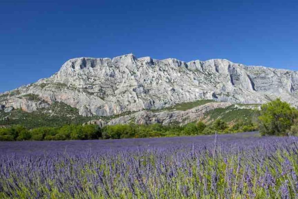 Appartement Avec Deux Chambres Centre Ville Aixois Aix-en-Provence Eksteriør billede